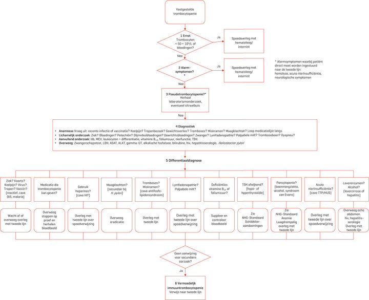 Diagnostiek en beleid bij trombocytopenie.