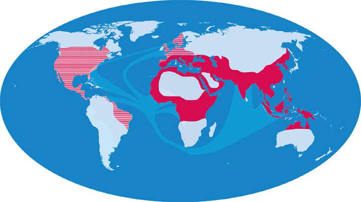 Overzicht van geografisch voorkomen van malaria tropica in de wereld