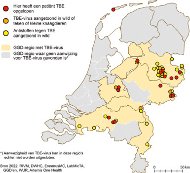 Het voorkomen van TBEV in Nederland